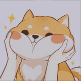 Chaomengxingyouzi