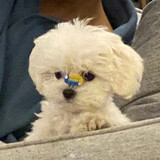 chaonenglizaixian