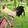 LJP GAMEFARM