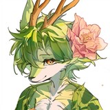 -liyuan-