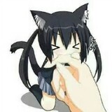 fengexiu