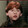 meng-li-dou-you