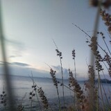 jed_22