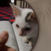 Nadia Yeasmin Ishra