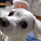 chinadoka_05