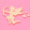 xiaoliqiubite