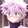 Killua Zoldyck_4887