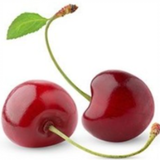 อลิซติดซีรีส์ฮับ