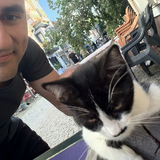 Cats Man