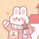 nnoo244