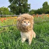 Muhamad Syaiful Rahman