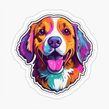 bili_1088174364
