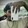 Mamun vai577177