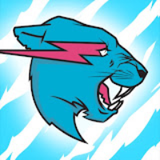 Mr. beastt