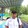 Ilham Syah_4245
