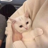yulenaixiaomei