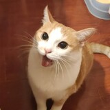 a___yidianyebutianya