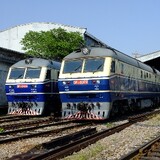ningdongzhuicheren