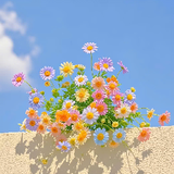 A Little Flower_1006