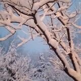 y___ianweishi665