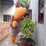 Tường Vy Nguyễn_8665