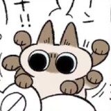 xiannvgkd
