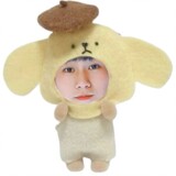 aijiangdalichuqiji