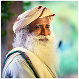 Sadhguru Spiritual world