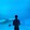 _tudounini-