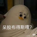 daomeidanzhu