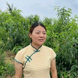 yanyunshiliu