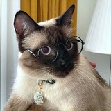 neoxiangbinse