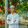 MD jahidul islm Saim