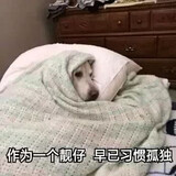 shijiezuigaochenglitang_