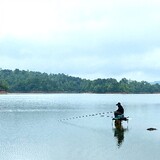 qiuqiubierangwodagui