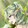 traceur_lianxing