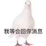 huaihuaroudabaozi