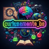 Curiosamente_bs