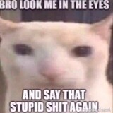 saythastupidshitagain