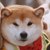 woshichenbadou