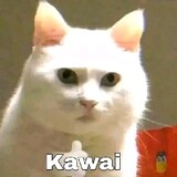 MURIDBAYU