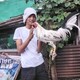 creator avatar