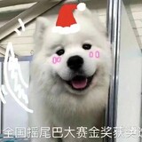 YangxixiAnmali