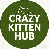 crazy-kitten-hub