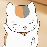 wangzherongyao___jiujiu