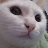 wufeifei-