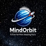 mind orbit