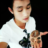 zhouxiaobingdemoshu