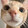 xiao___ele-