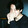 allfor_jm
